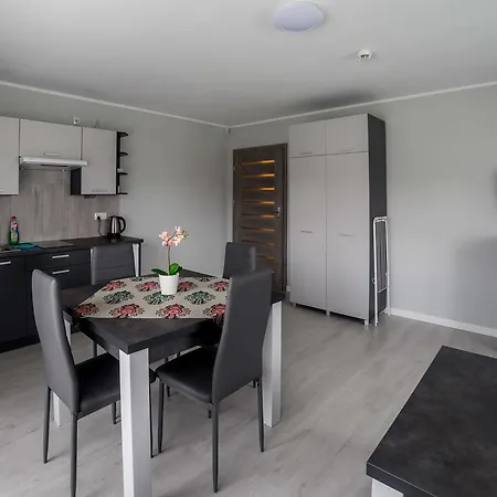 Lägenhet Amelia Bialka Tatrzanska